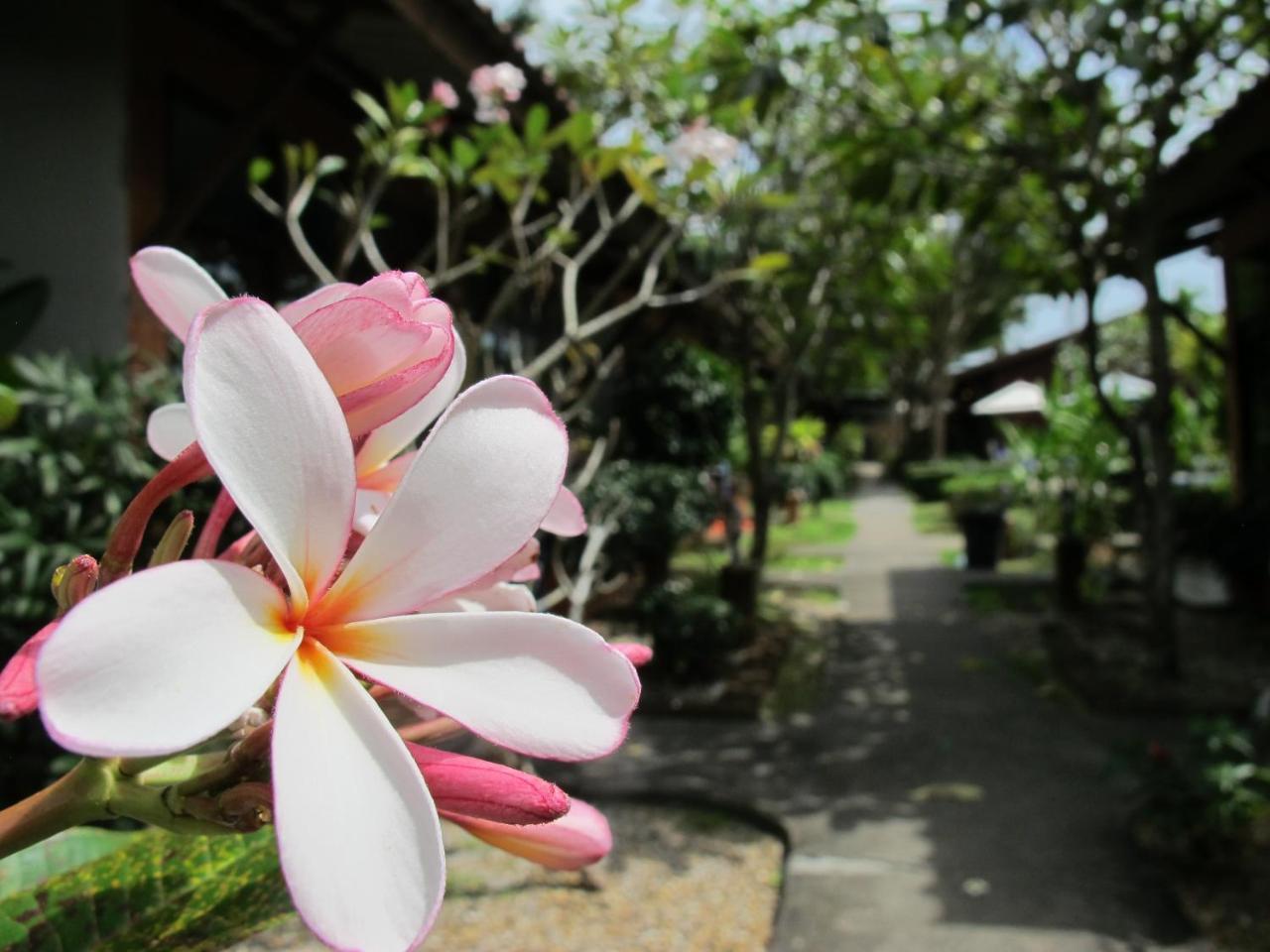Phuket Siam Villas Chalong Eksteriør bilde